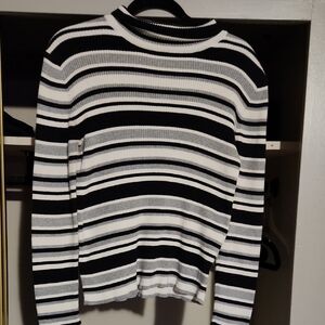 Striped  Turtleneck Ribbed Sweater